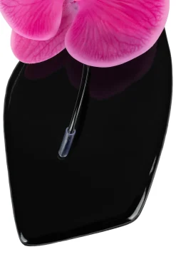 Sale BIG-ISLAND Flat