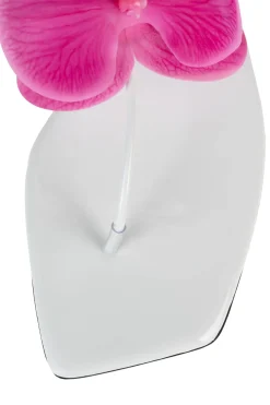 Sale BIG-ISLAND Flat