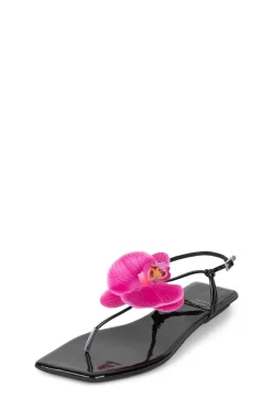 Sale BIG-ISLAND Flat