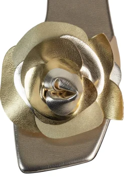 Fashion BOUQUET Flat