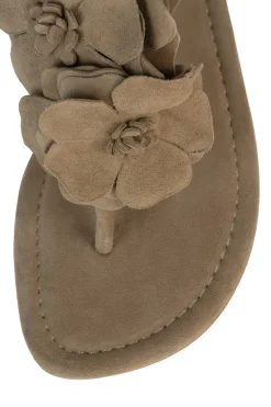 Best Sale JOYOUS Flat