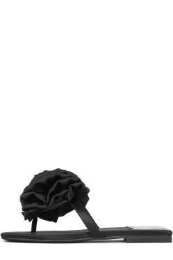 Best Sale PERENNIAL Flat