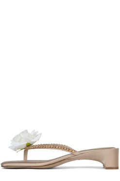 New PRIMROSE Sandals|Heel