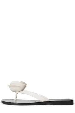 Cheap SO-SWEET Jellies|Flat