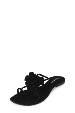 Discount TROPICO Flat