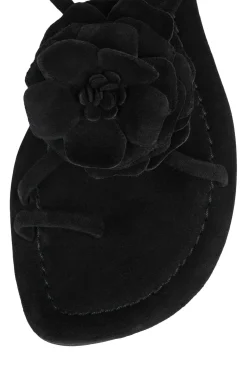 Discount TROPICO Flat