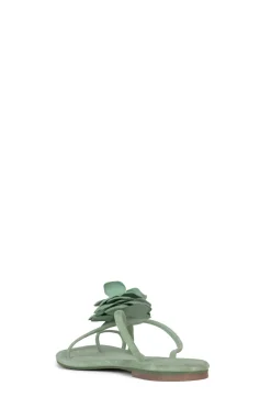 Discount TROPICO Flat