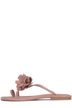 Discount TROPICO Flat